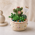Handmade Crochet Cactus & Succulent Pot – Positive Desk Decor
